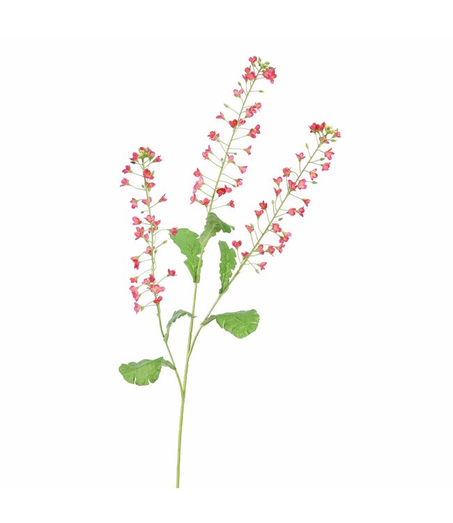 Rapeseed  flower 110 cm Beauty