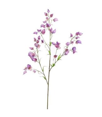 Large Aconitum 120 cm – Lavender