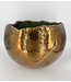 Ecri Living  Bolivia Egg Jade Gold 04.42