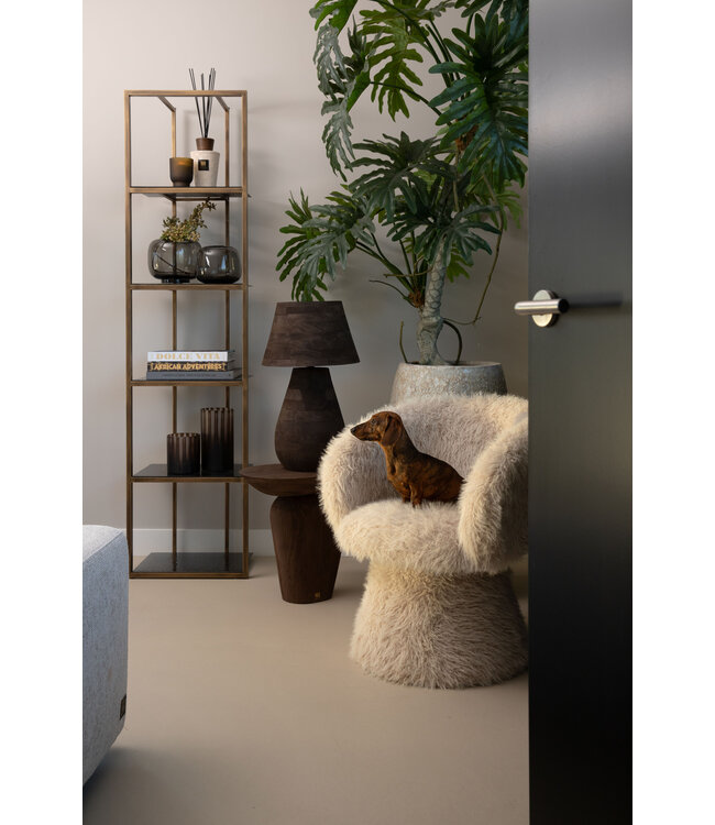 Hermes Beige dining/fauteuil chair hair