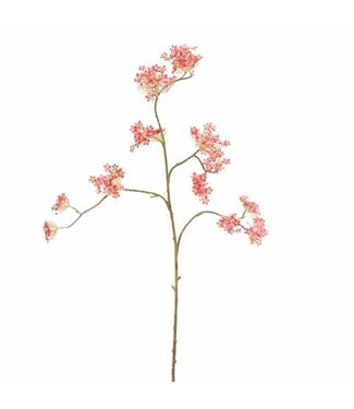 Giant Dille 140 cm – Beauty