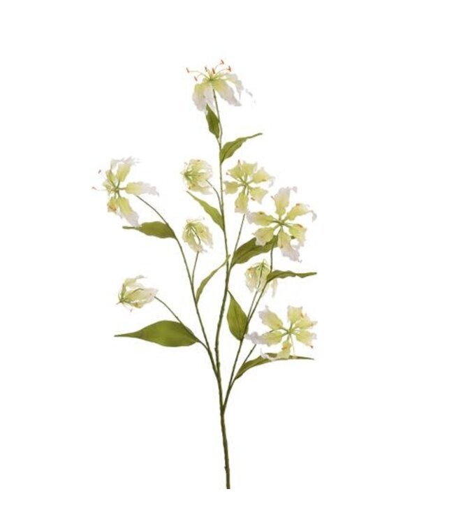 Large Gloriosa Spray x9 125 cm – Zijden gloriosatak in cream en groen