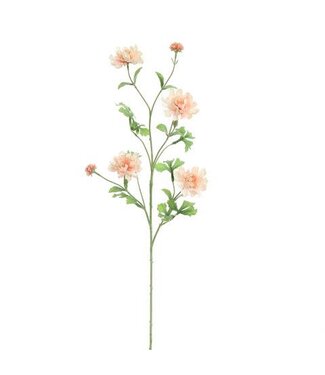 Grote ranonkel spray 92 cm – Pink