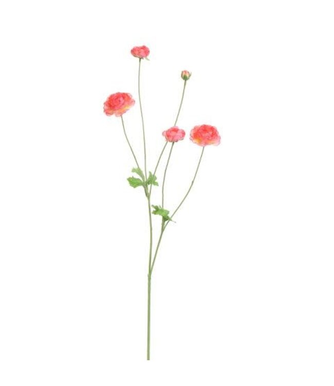 Ranonkel 90 cm – Zijden bloem in de kleur Beauty roze