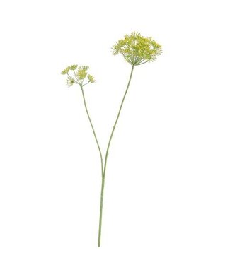 Large Anethum 105 cm – Yellow