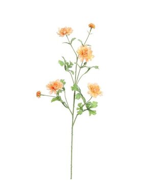 Grote ranonkel spray 92 cm – Peach