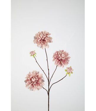 Dahlia Spray x5 90cm rose/lila