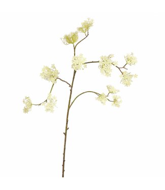 Giant Dille 140 cm – Beauty Cream/Green