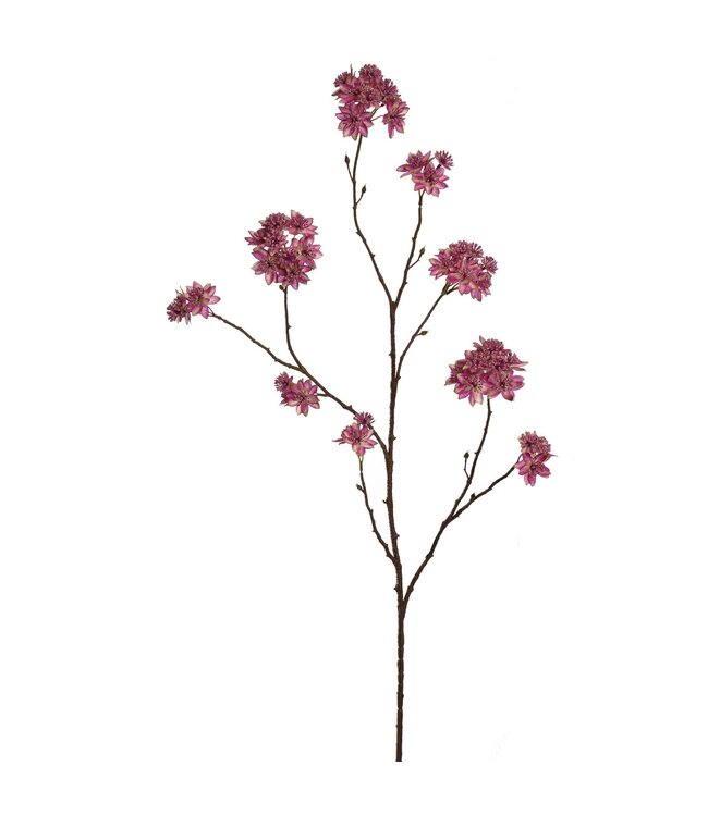 Large Astrantia Branch 110 cm – Zijde tak in de kleur Beauty roze