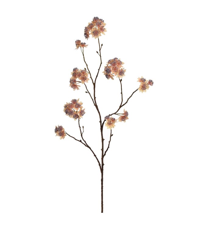 LARGE ASTRANTIA BRANCH 110CM BEIGE