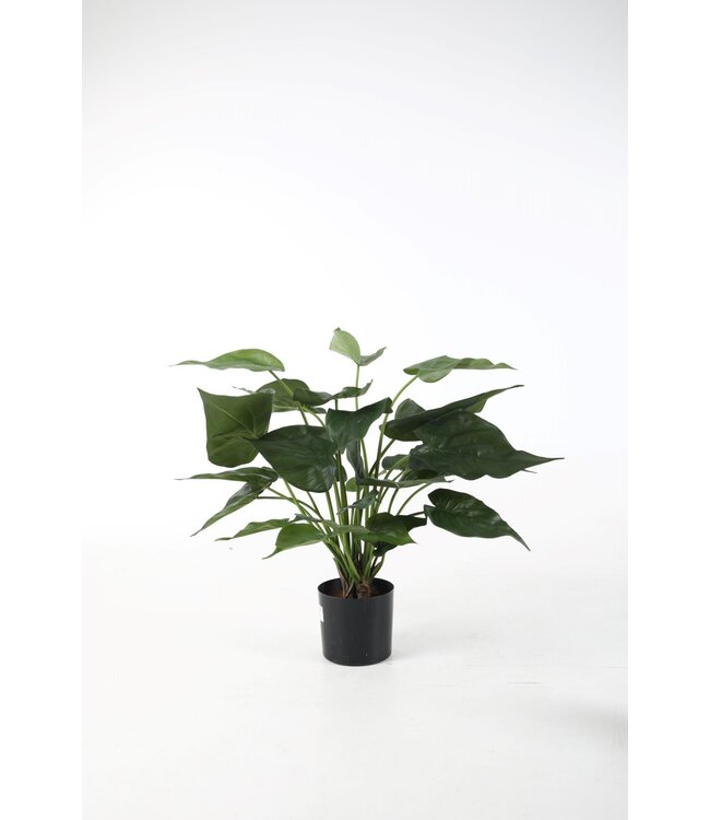 Alocasia Cucullata kunstplant – zijden kamerplant met 26 bladeren 55 cm hoog