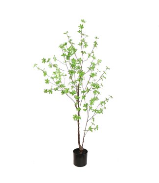 Japanese Hanging Bell Tree 150 cm Green Japanese Hanging Bell Tree 150 cm Green