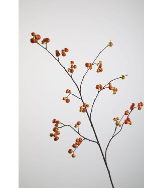 Rosehip Spray 105cm oranje/groen