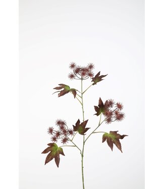 Thorn Fruit Spray 99cm