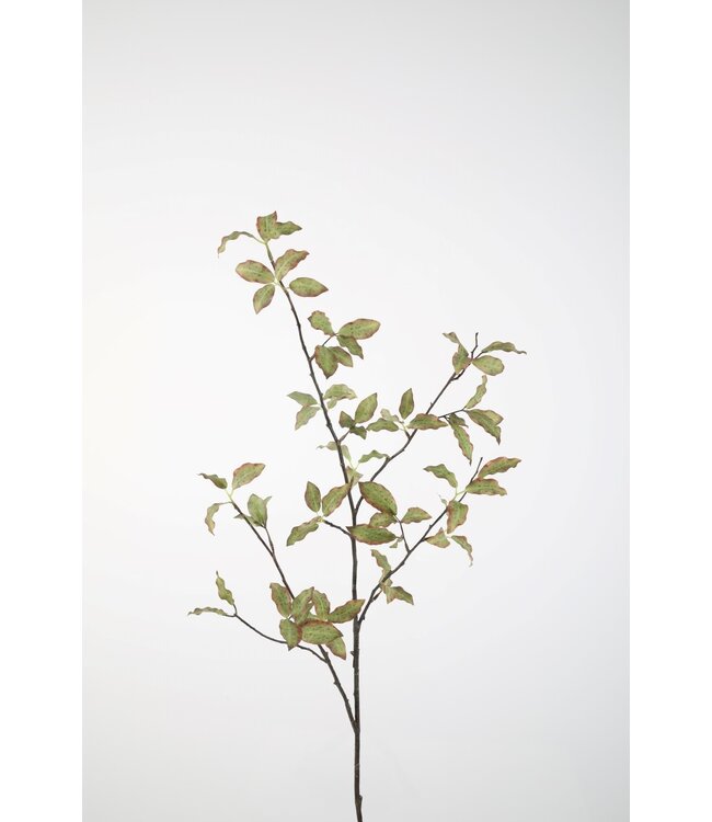 Pittosporum Branch kunsttak – zijden groentak 107 cm hoog
