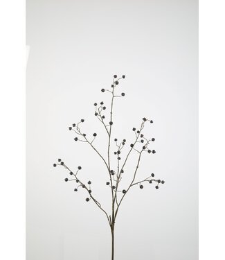 Rosehip Spray 118cm zwart