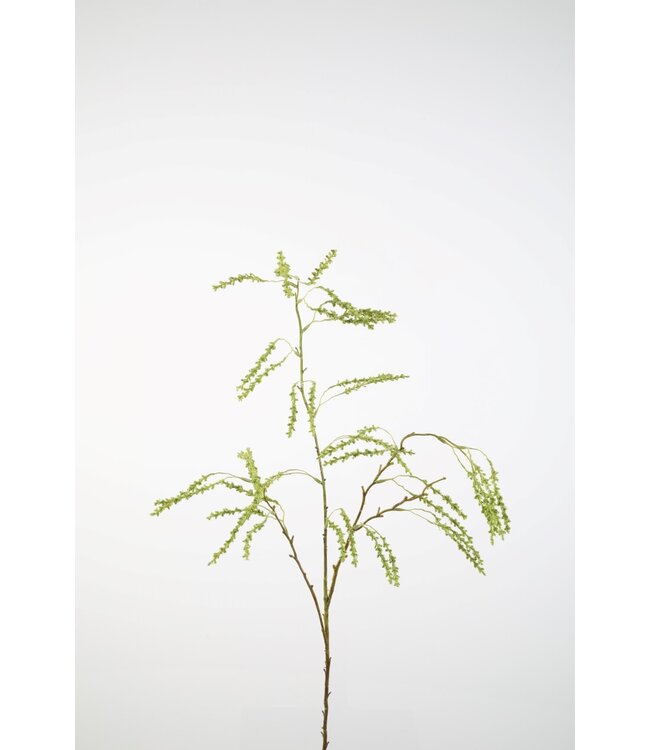 Fontanesia Branch Spray kunsttak – zijden groentak 120 cm hoog