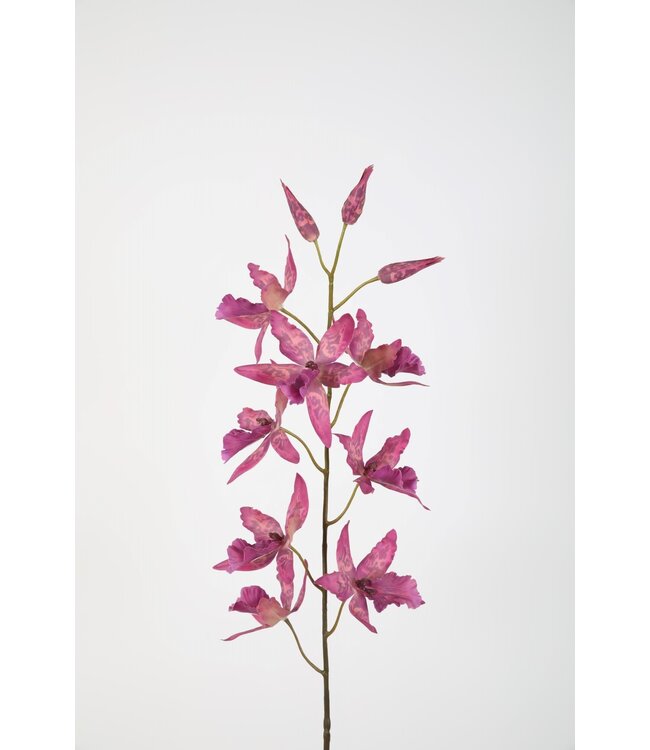Oncidium Stem kunsttak – zijden orchidee 101 cm hoog
