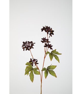Wildflower Spray 95cm bordeaux