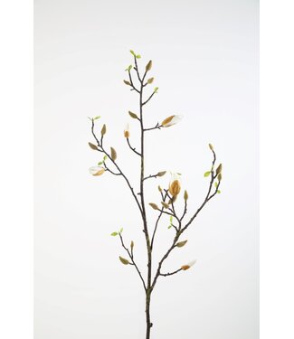 Magnolia 131 cm creme