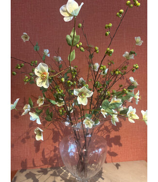 Boeket groen