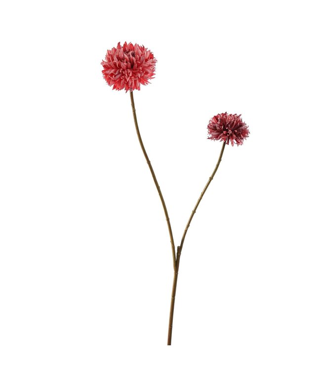Balchrysant 80cm rose