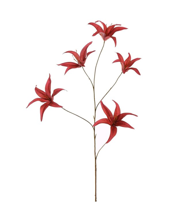 Hippeastrum 96cm burgundy