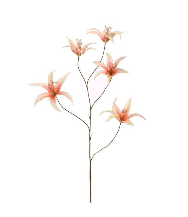 Hippeastrum 96cm perzik