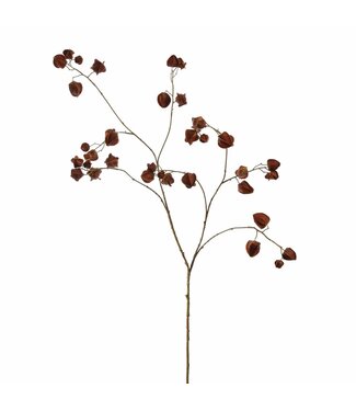 Houzuki 125cm brown