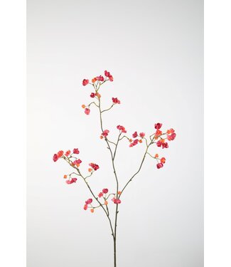 Bittersweet 92cm fuchsia