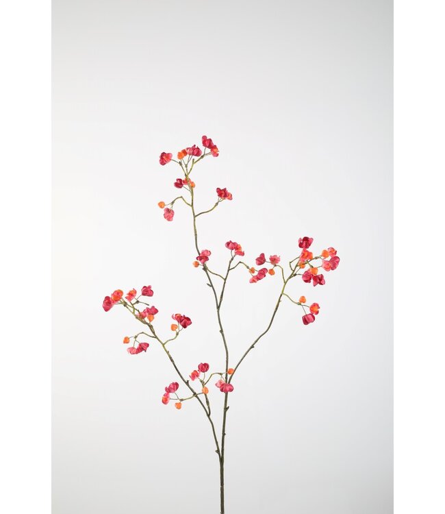 Bittersweet 92cm fuchsia