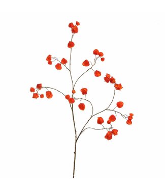 Houzuki 125cm orange