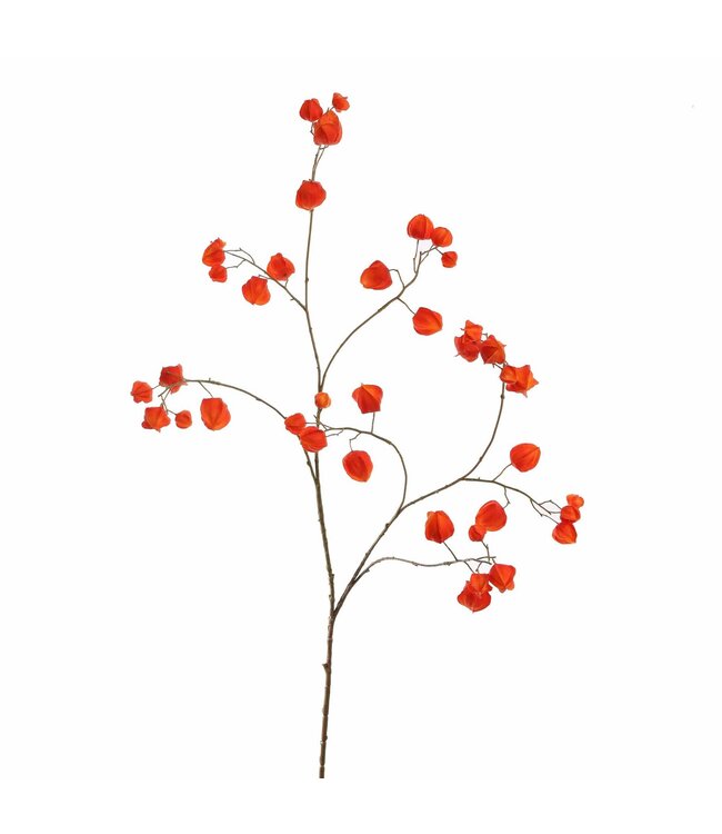 Houzuki 125cm orange