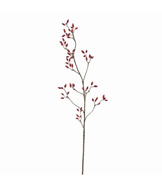 Rozenbottel 120cm rood
