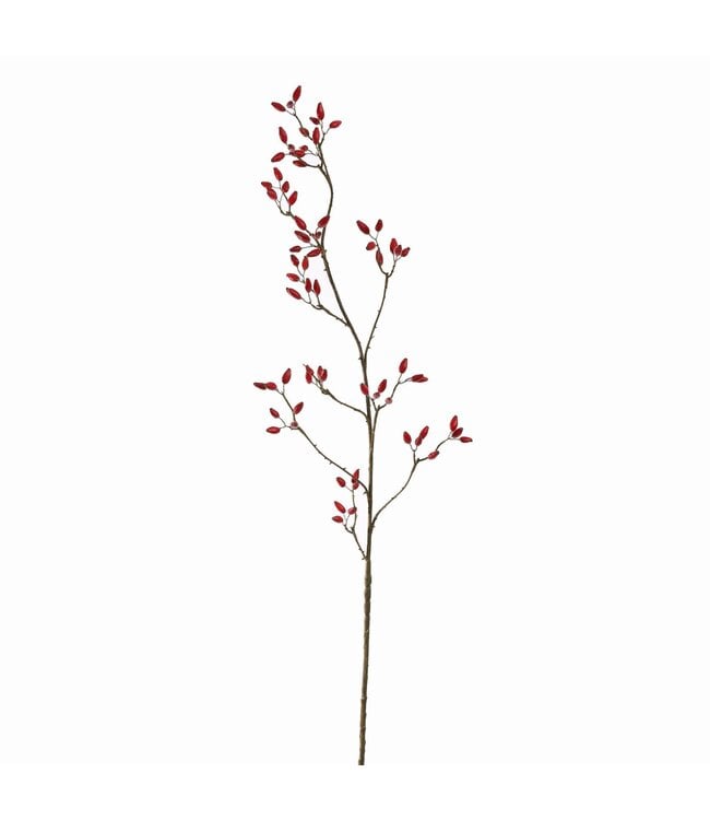 Rozenbottel 120cm rood