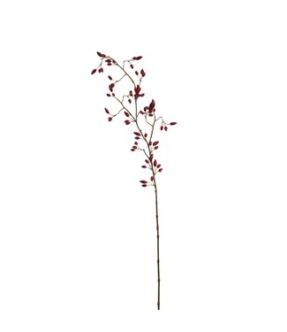 Rosehip branch 110 cm rood