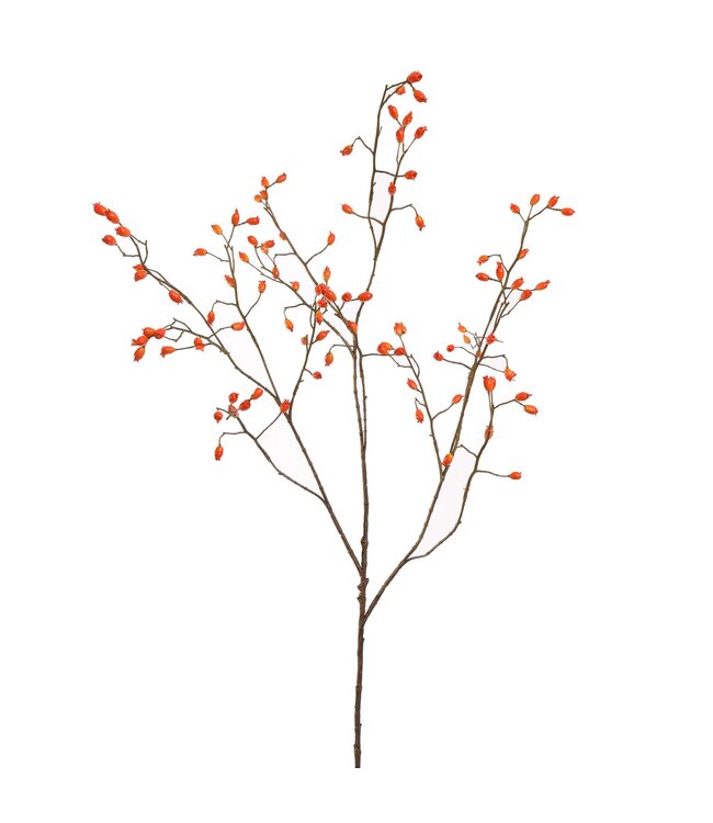 Rosehip spray 105 cm orange