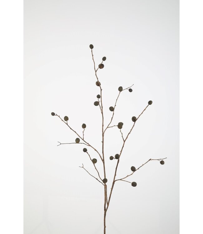 Berry Pod Spray 146cm bruin