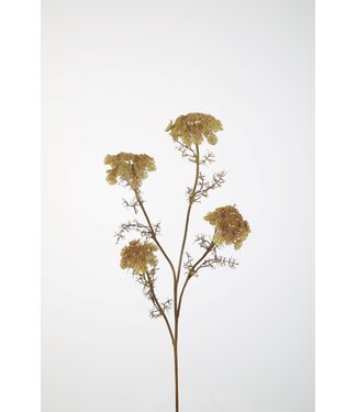 Queen Anne's Lace 87cm
