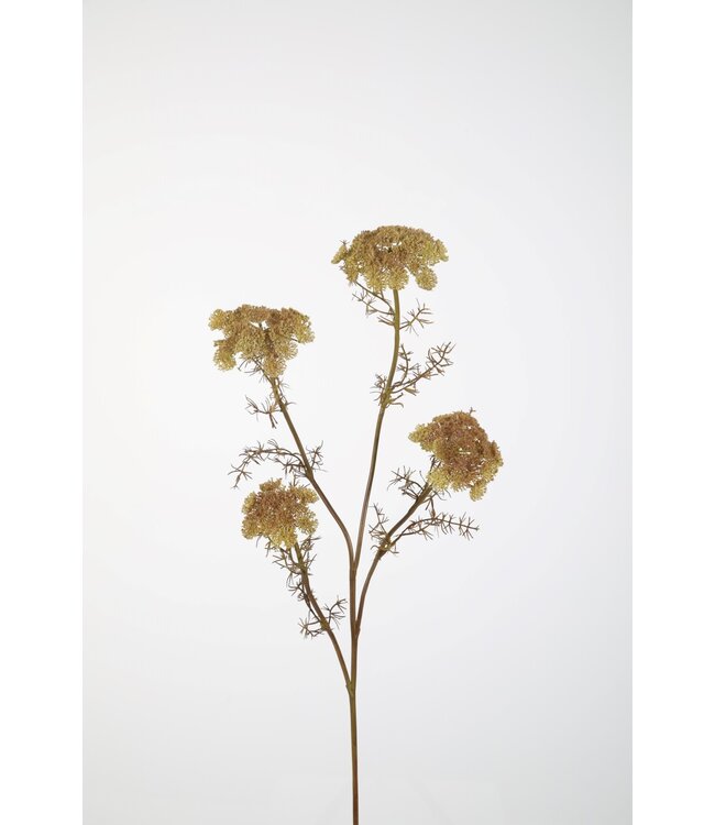 Queen Anne's Lace 87cm