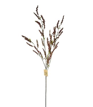 Bruidsbloem, Bordeaux, 107cm.