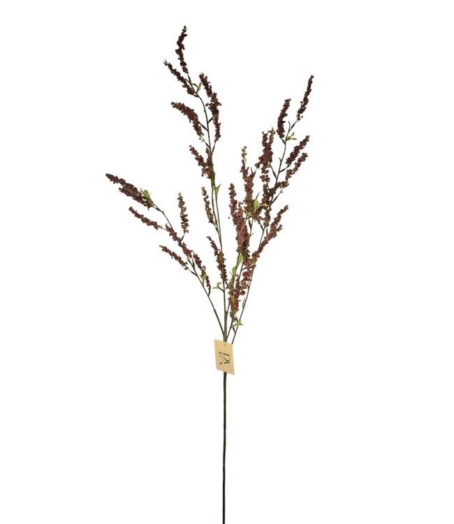 Bruidsbloem, Bordeaux, 107cm.