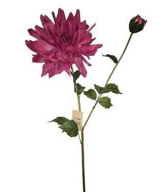 Dahlia Yarra, Real Touch, Hot Pink, 78cm