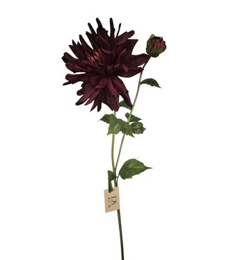 Dahlia Yarra, Bordeaux, Real touch, 78cm