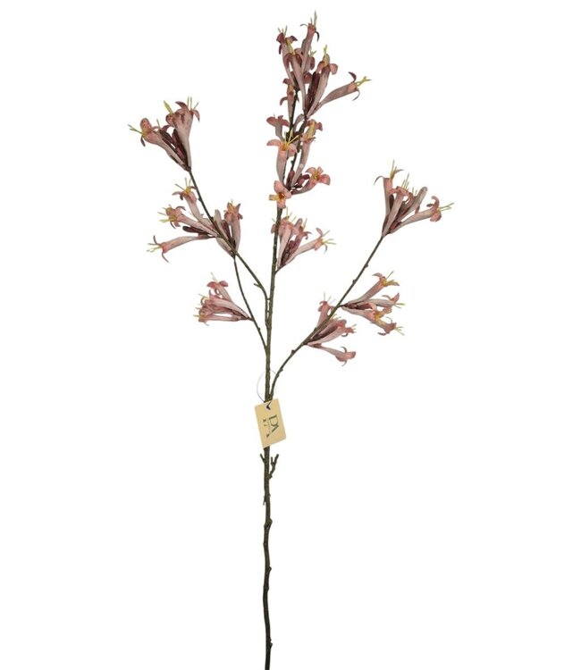 Stephanotis, pink/purple, 110cm