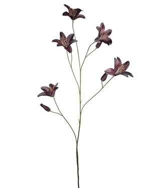 Day lily spray purple 106cm
