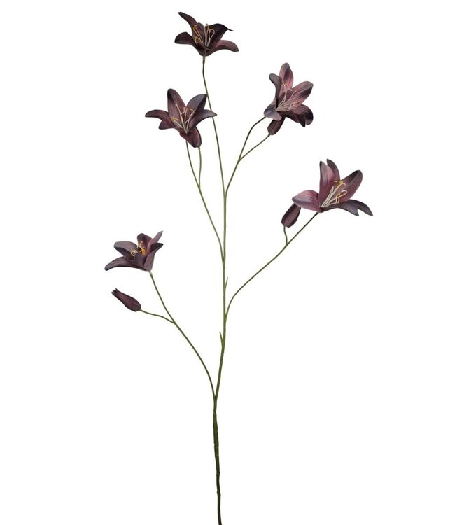 Day lily spray purple 106cm