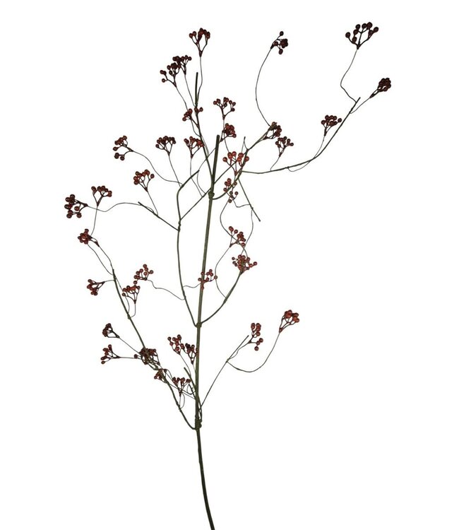 Rozenbottel xl, Red, 150cm