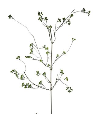 Rozenbottel xl, Green, 150cm