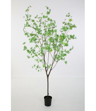 Small Leaves Plant 190cm